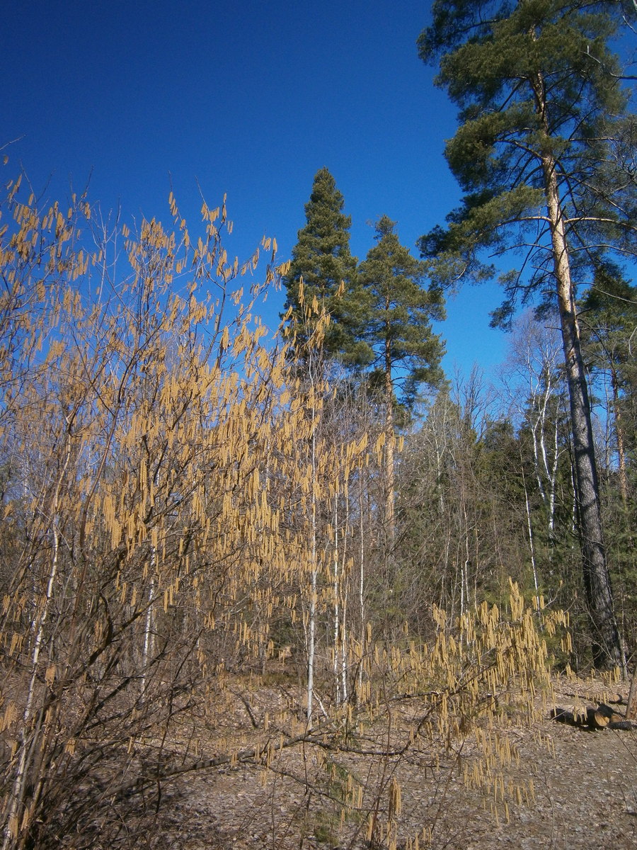 P1185061.JPG