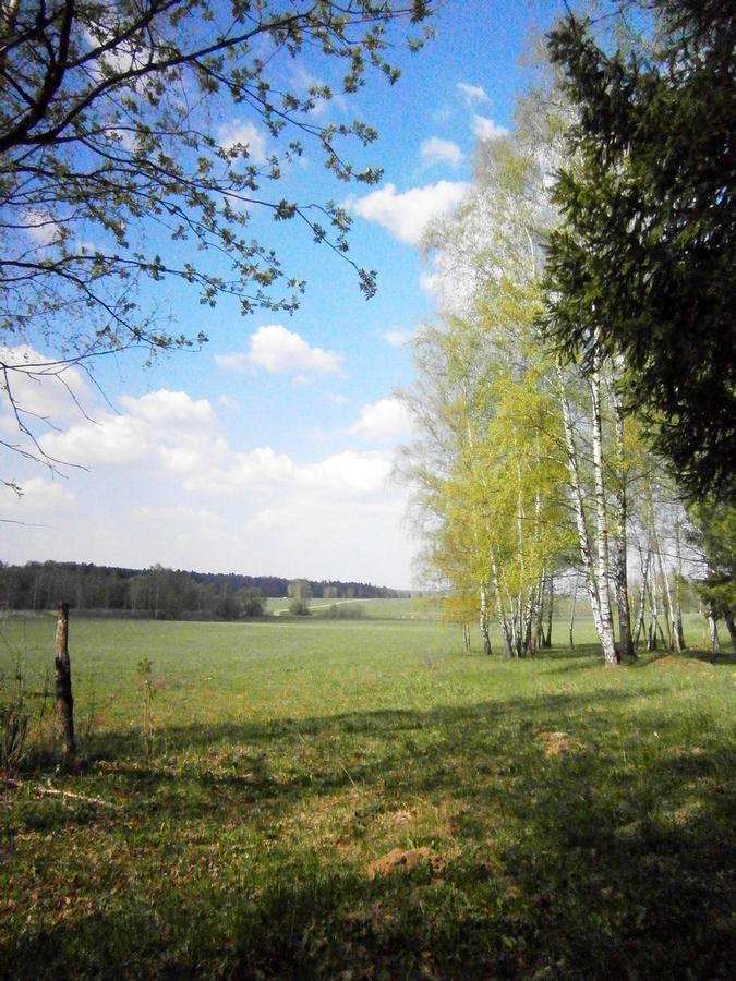 P1300199а.jpg