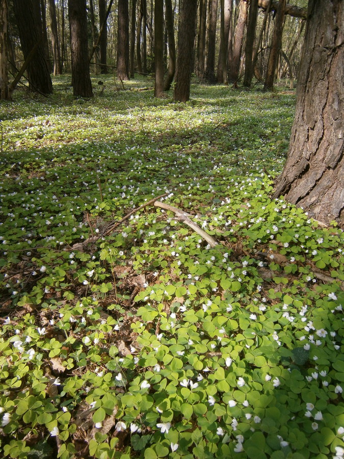 P2045086.JPG