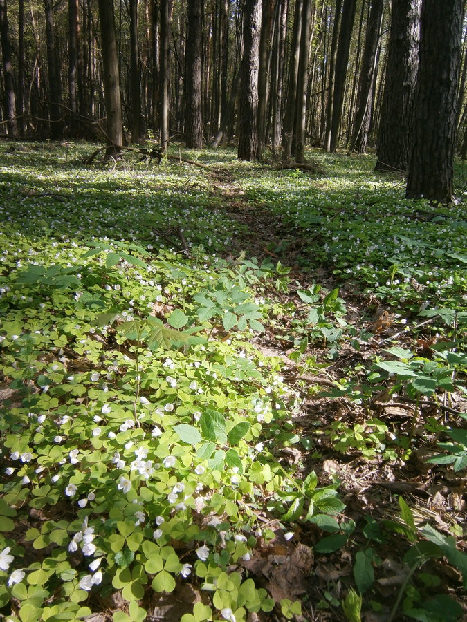 P2045091.JPG