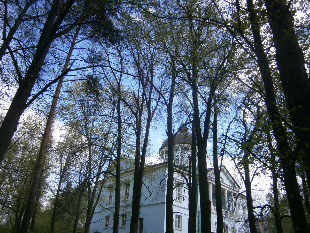 P2051187.JPG