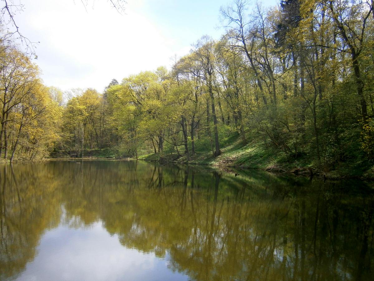 P2051193j.jpg