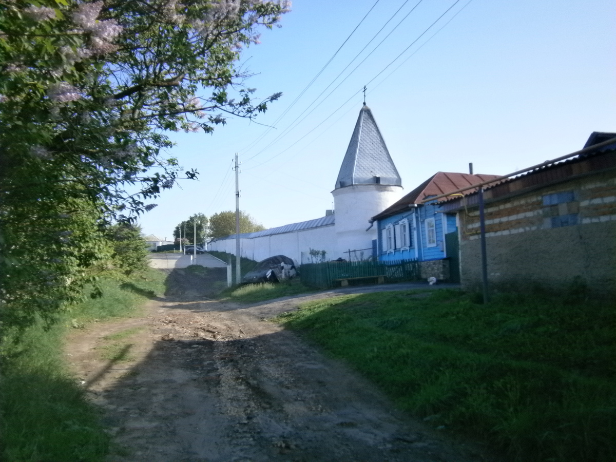 P2084125.JPG