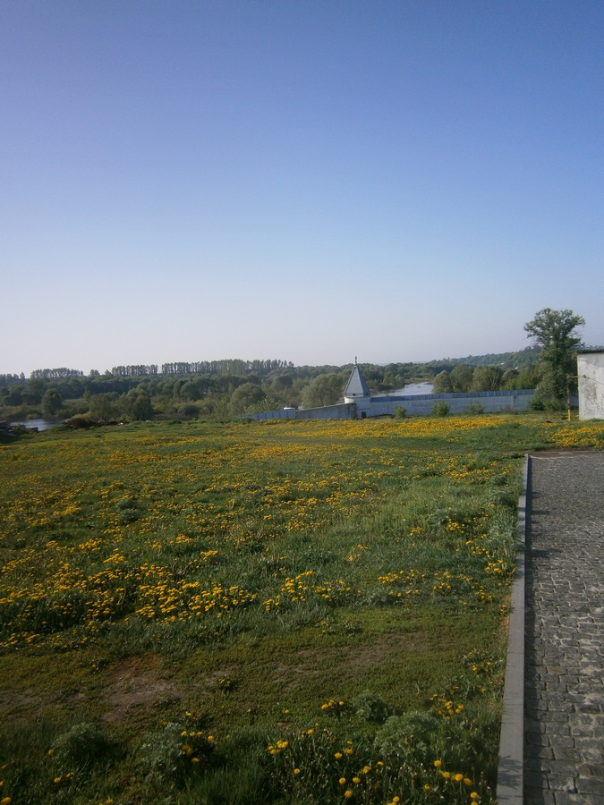P2084129.JPG