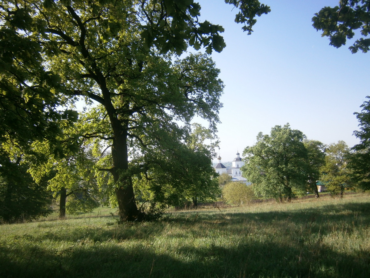 P2084140.JPG