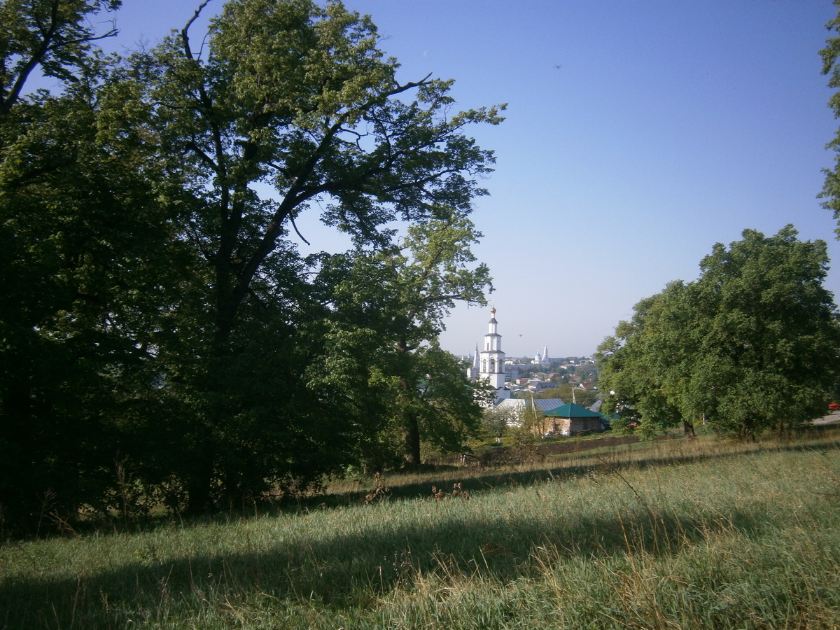 P2084146.JPG