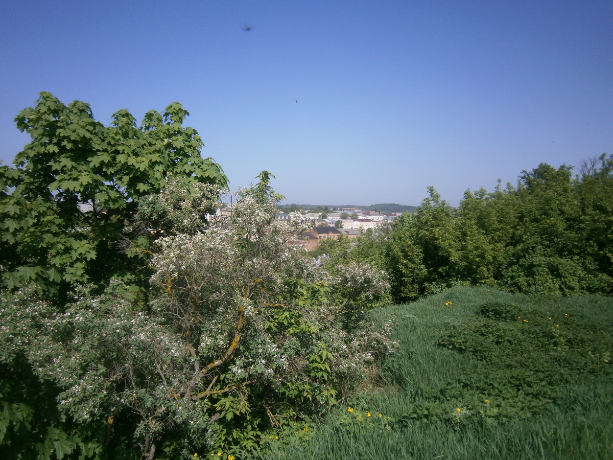 P2084178.JPG