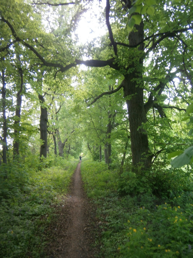 P2084184.JPG