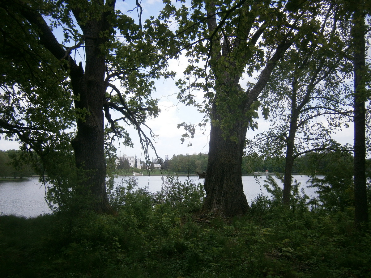 P2084204.JPG