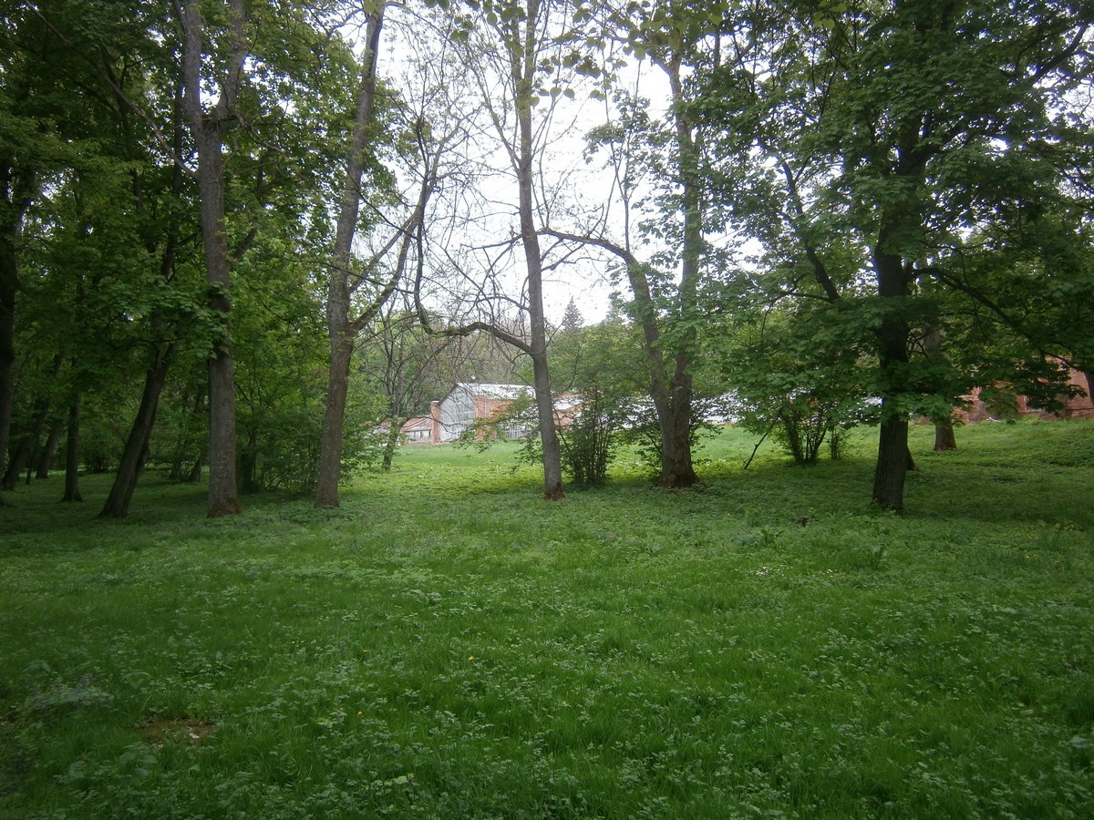 P2084239.JPG