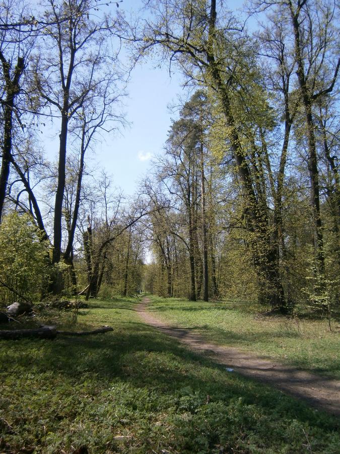 P2100545а.jpg