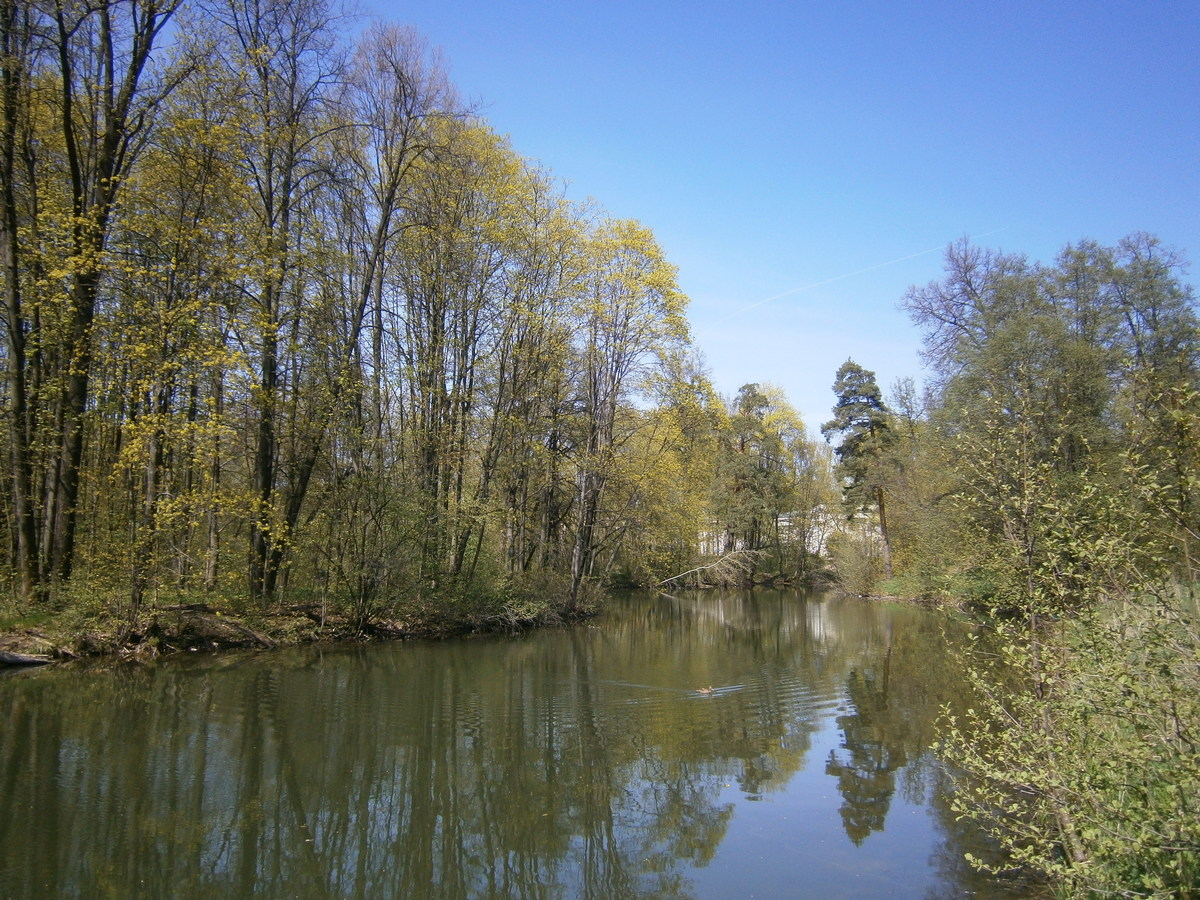 P2100546п.jpg