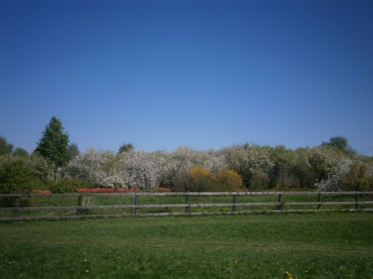 P2104256р.jpg