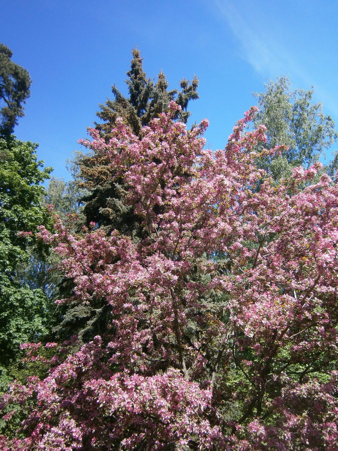 P2165146р.jpg