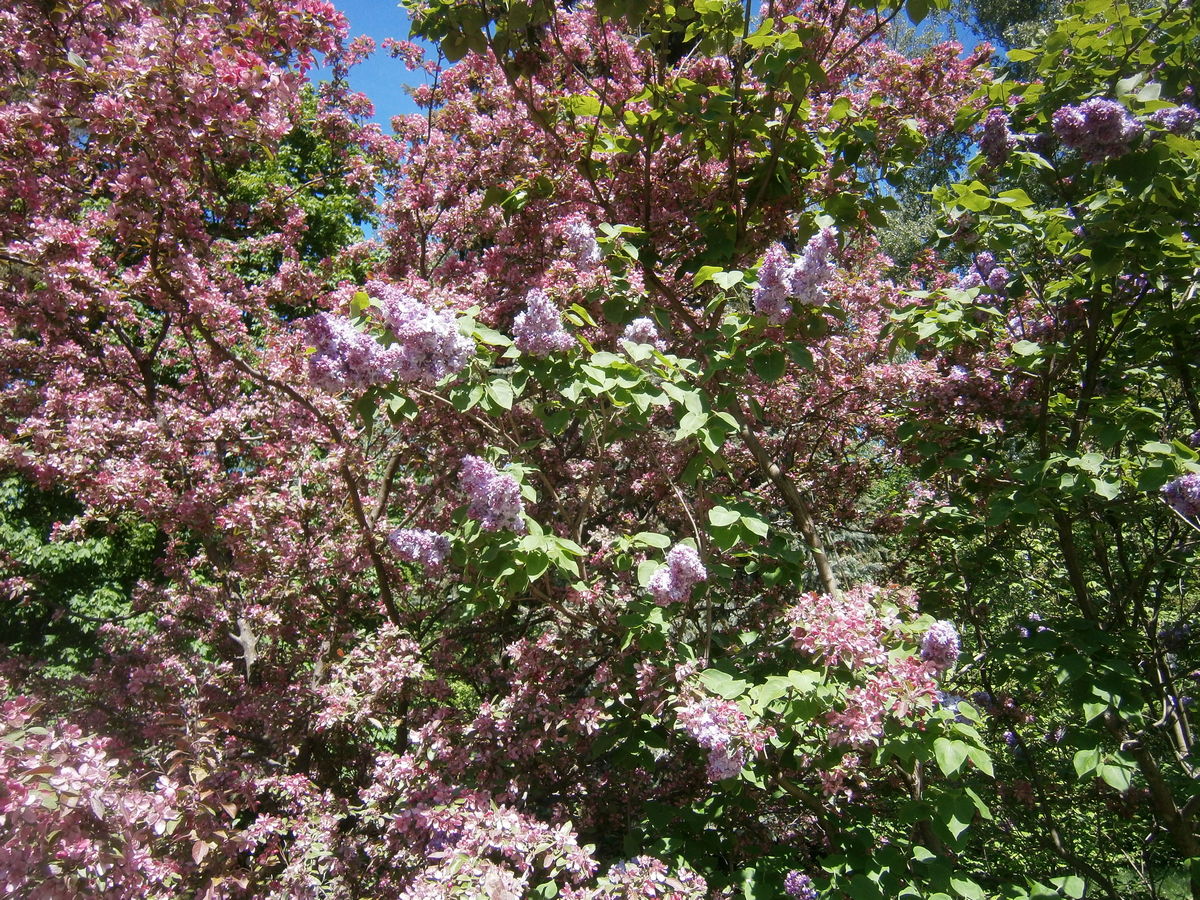 P2165147п.jpg