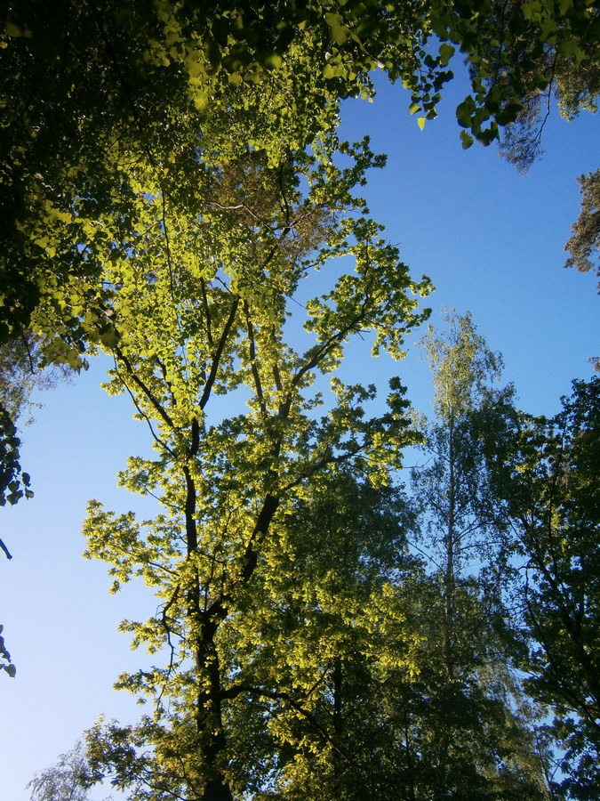 P2214288п.jpg