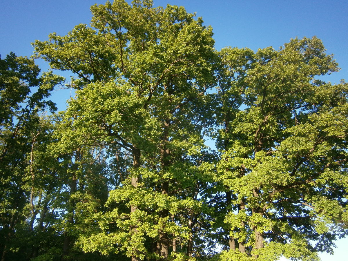 P2214292п.jpg