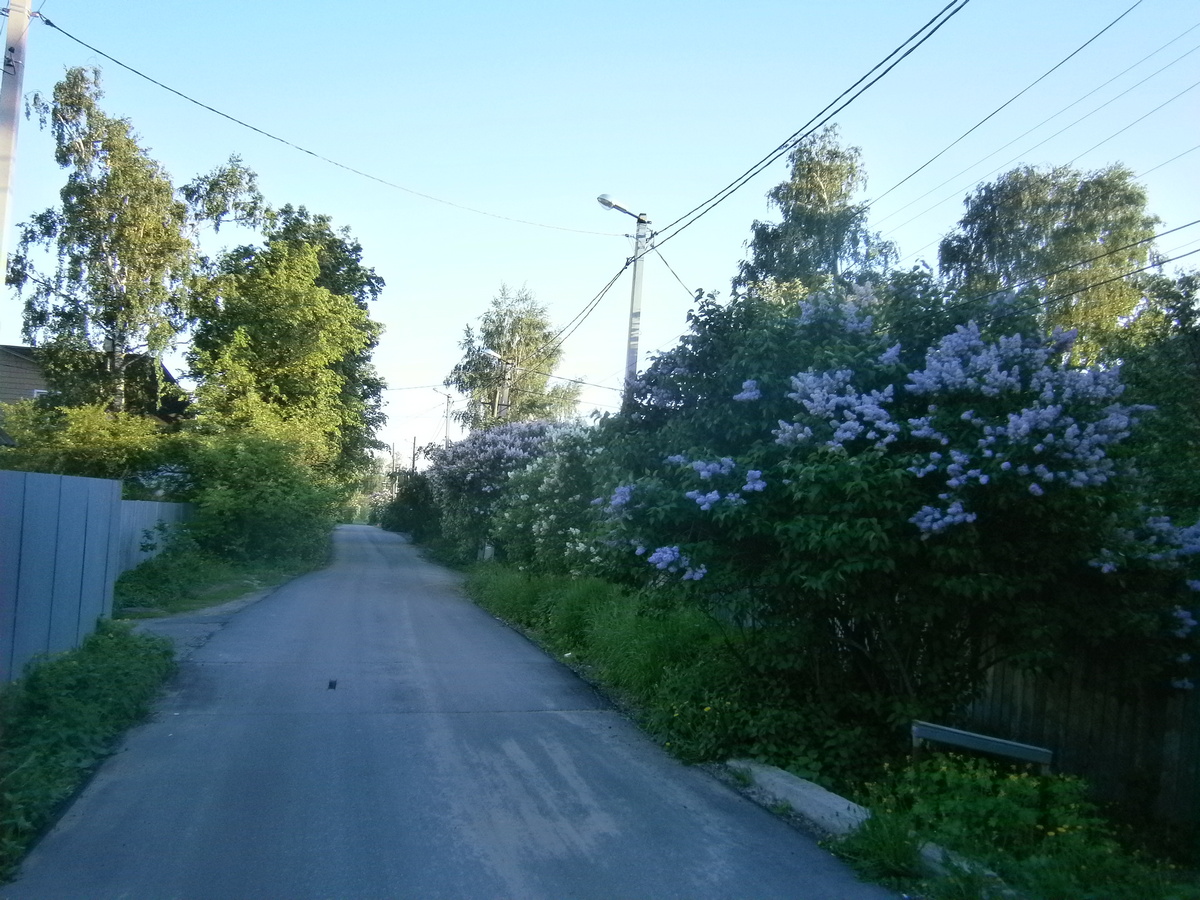P2214301р.jpg