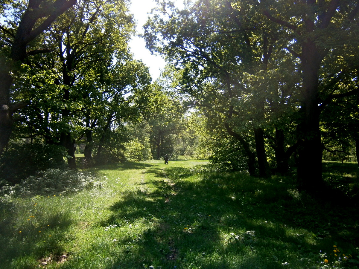 P2224309р.jpg