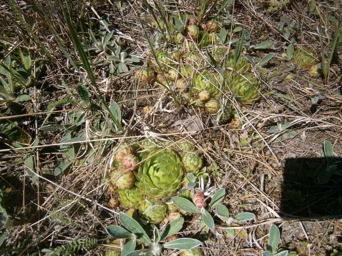 P2254314а.jpg