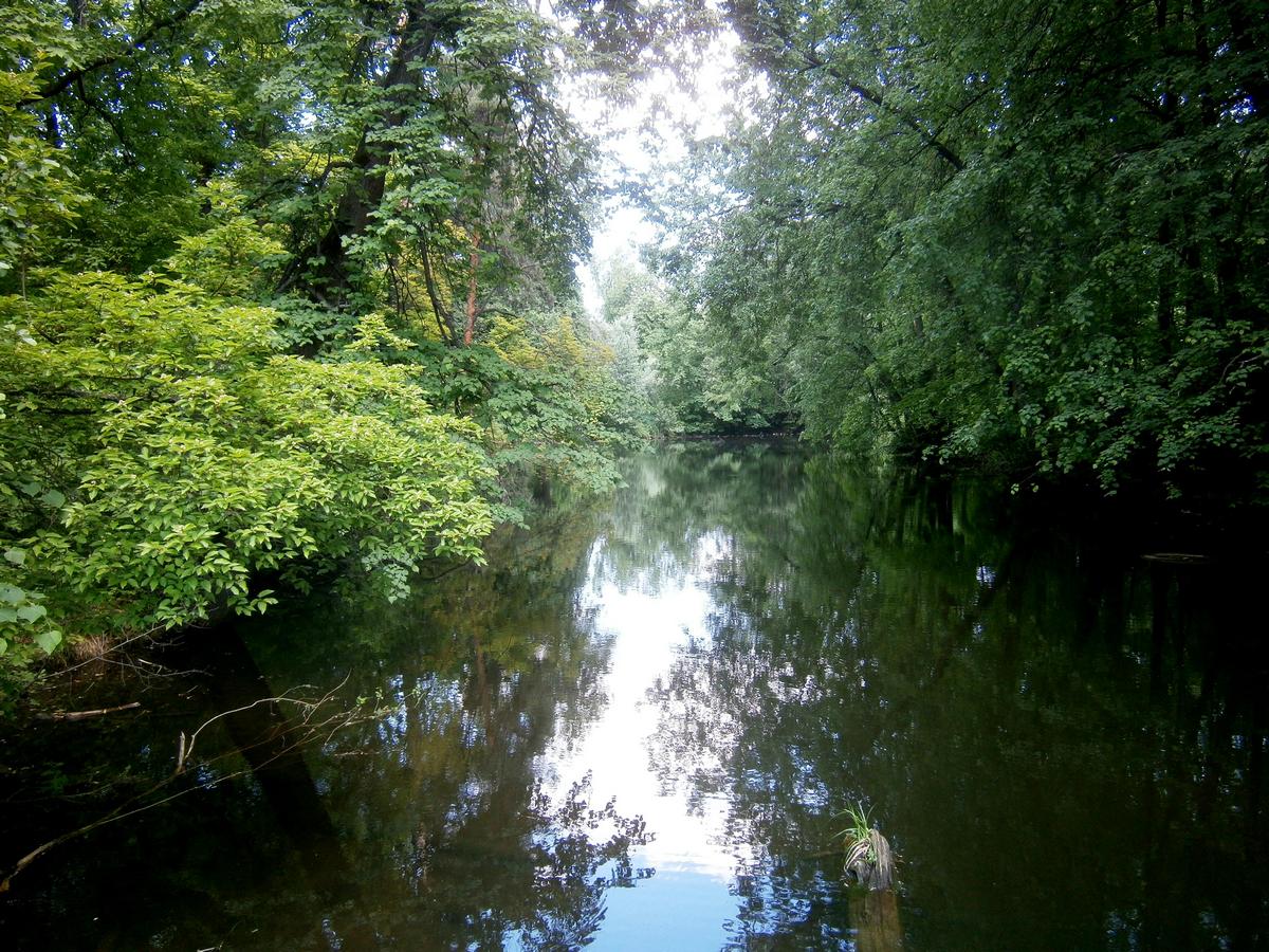 P3011426hа.jpg