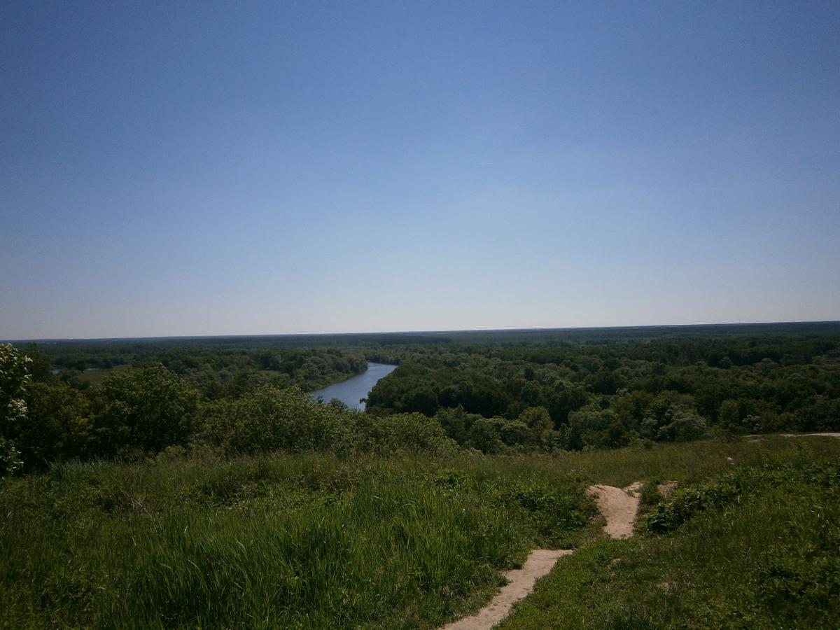 P3060657g.jpg