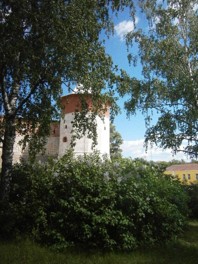 P3103197g.jpg