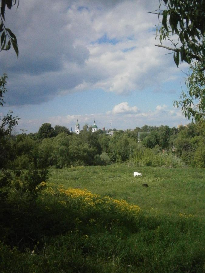 P3103208j.jpg