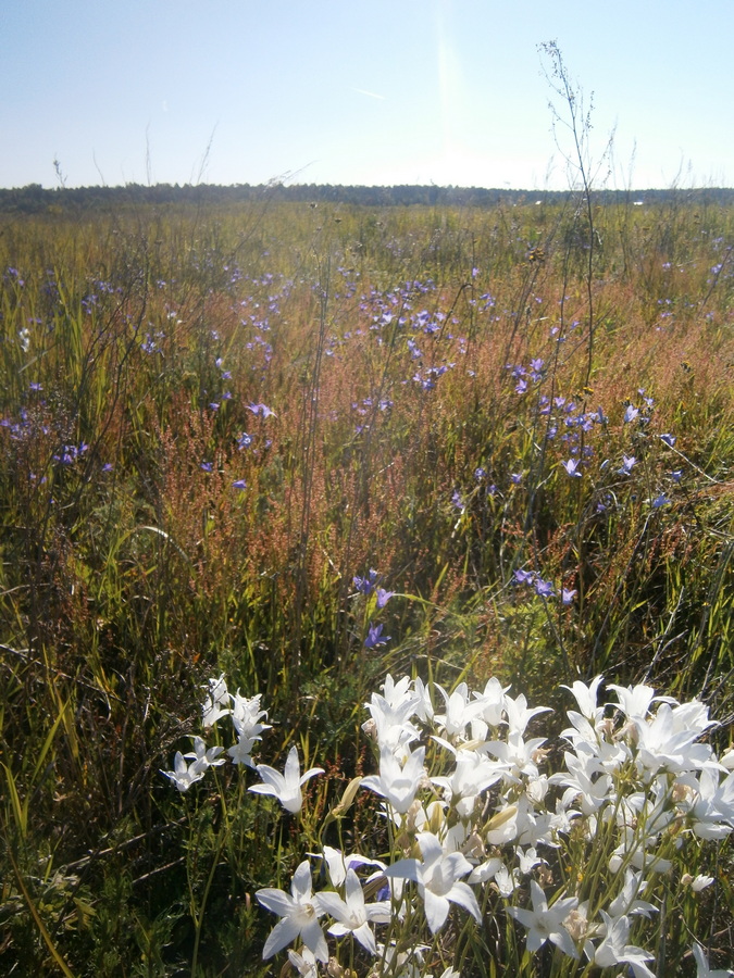 P3194352н.jpg