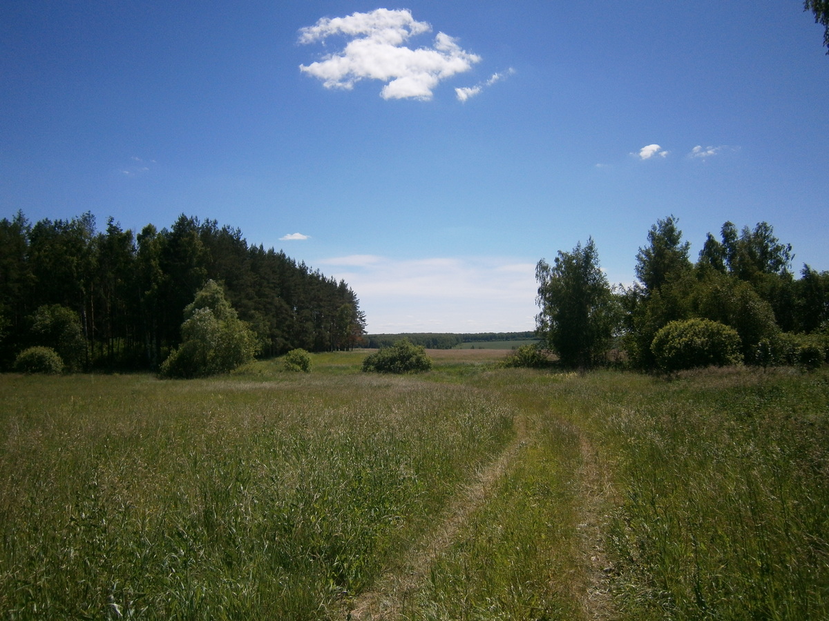 P3210713.JPG