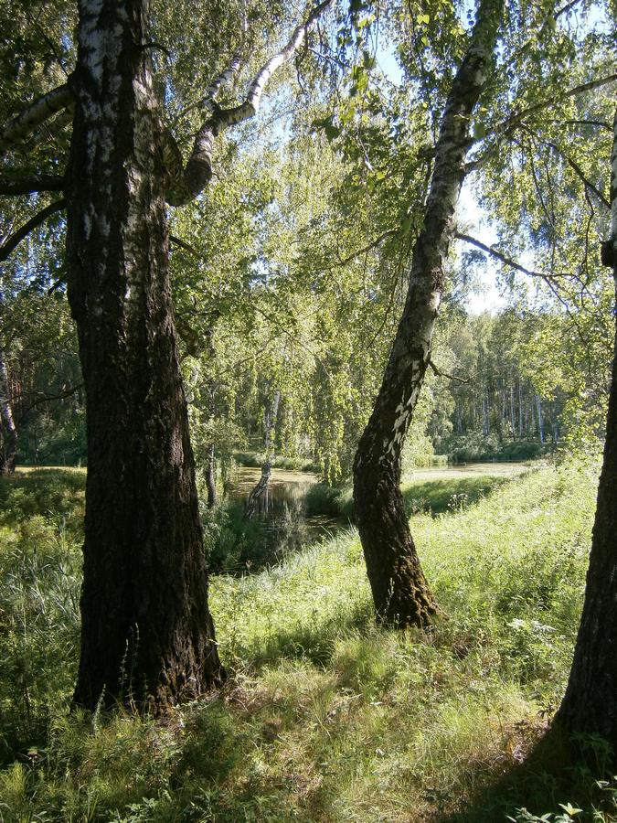 P3210729.JPG