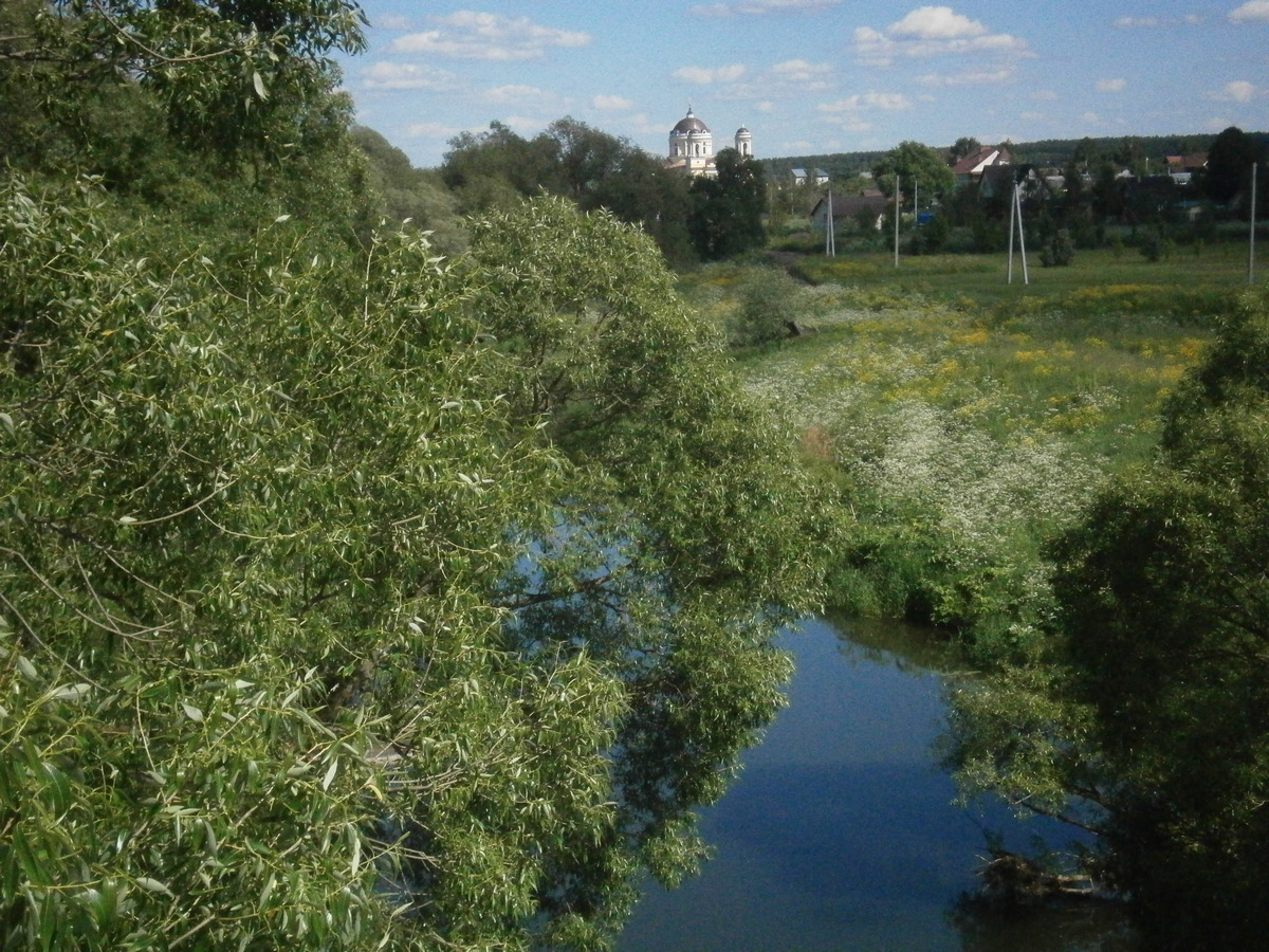 P3233231.JPG