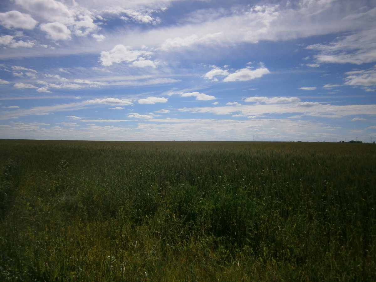 P3284389п.jpg