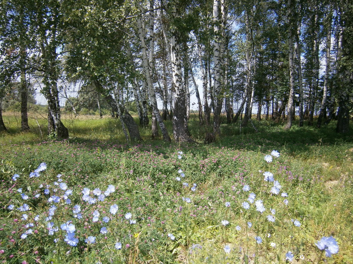 P4080735.JPG