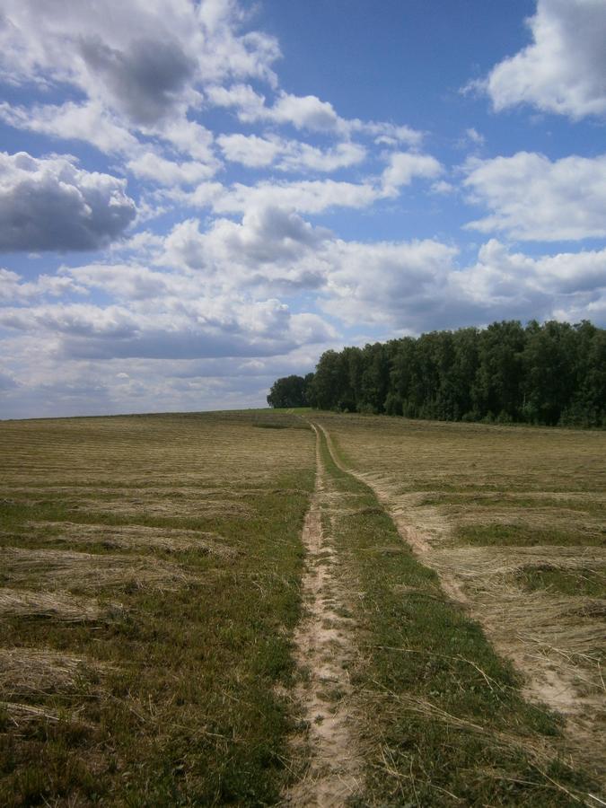 P4080749.JPG