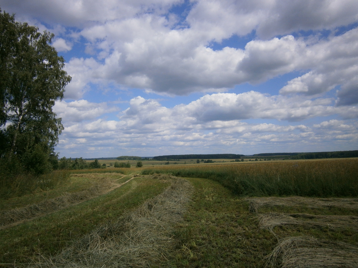 P4080750.JPG