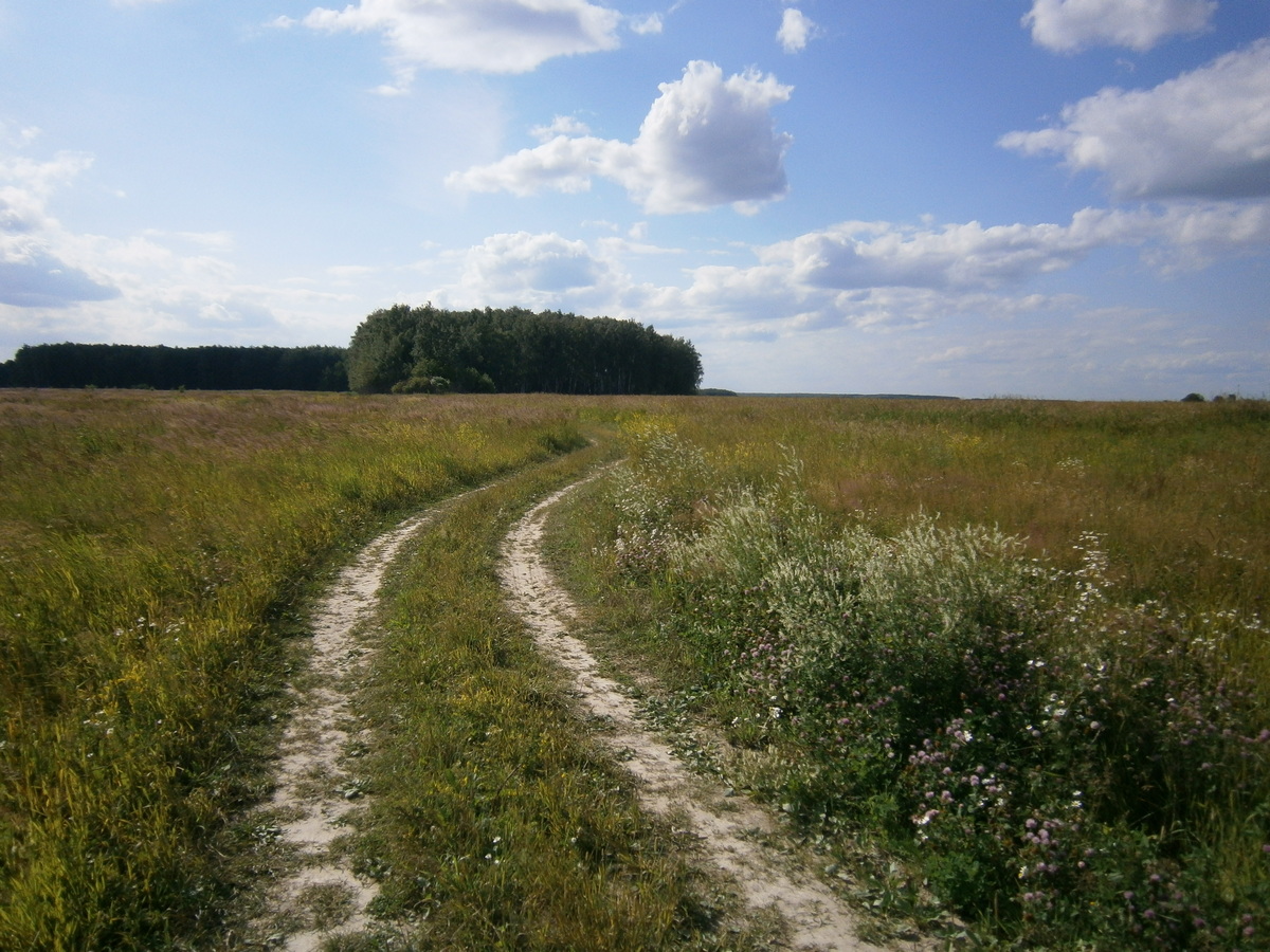 P4080794.JPG