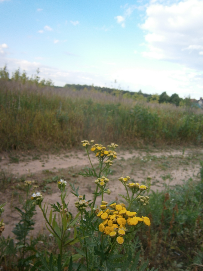 P4084408.JPG