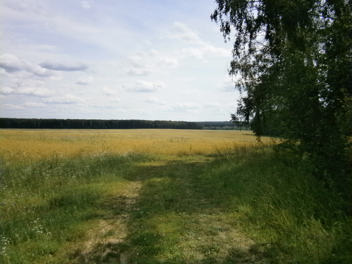 P4100814.JPG
