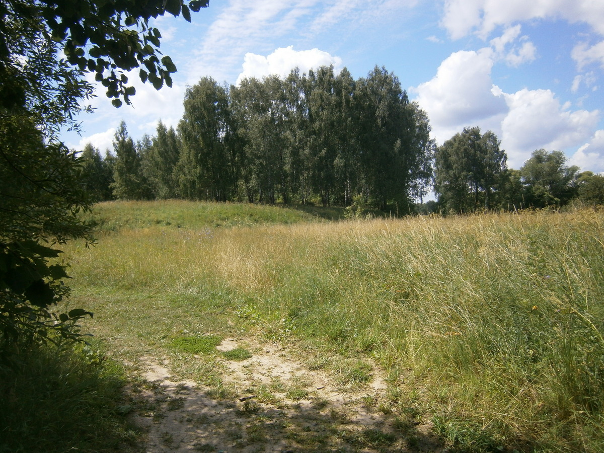 P4115201р.jpg