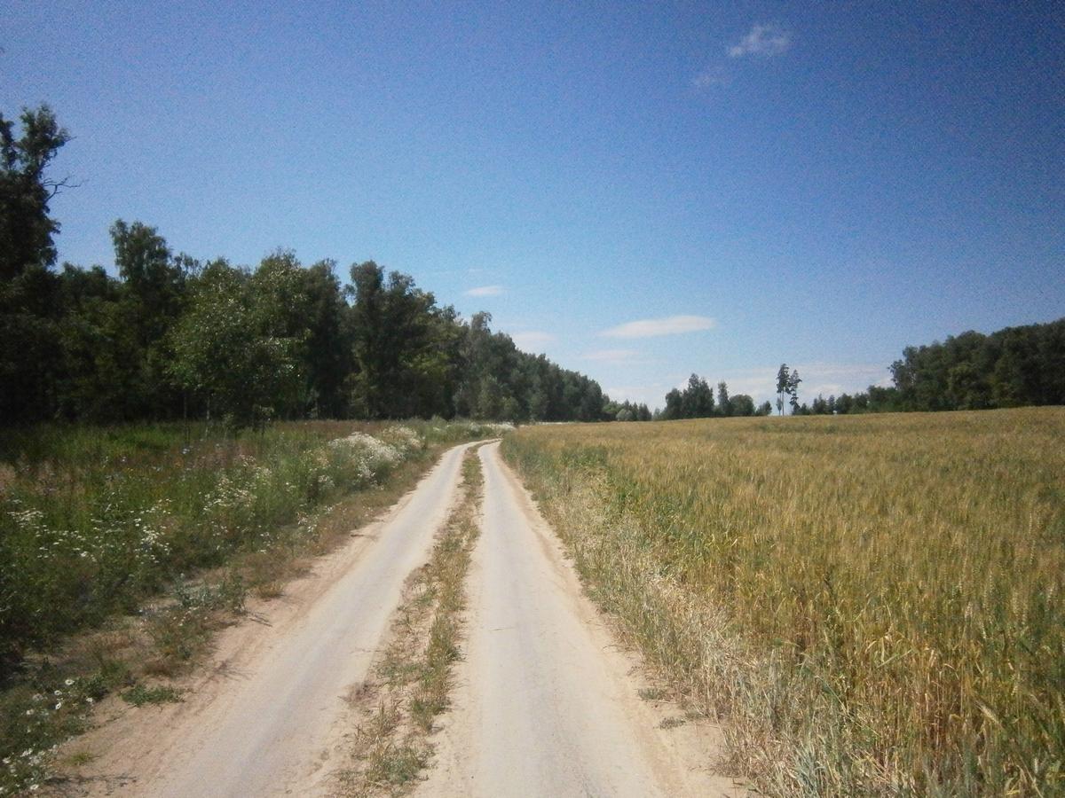 P4203282.JPG