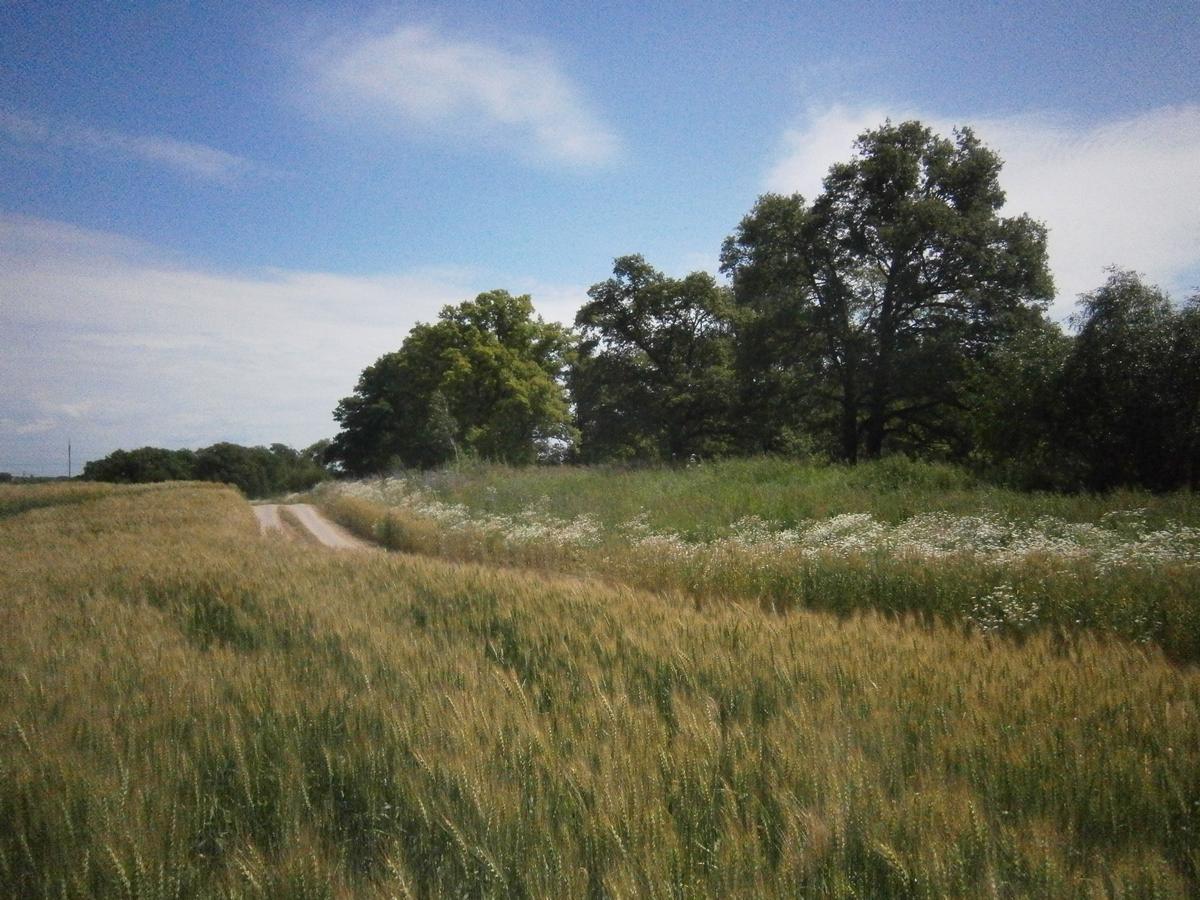 P4203287.JPG