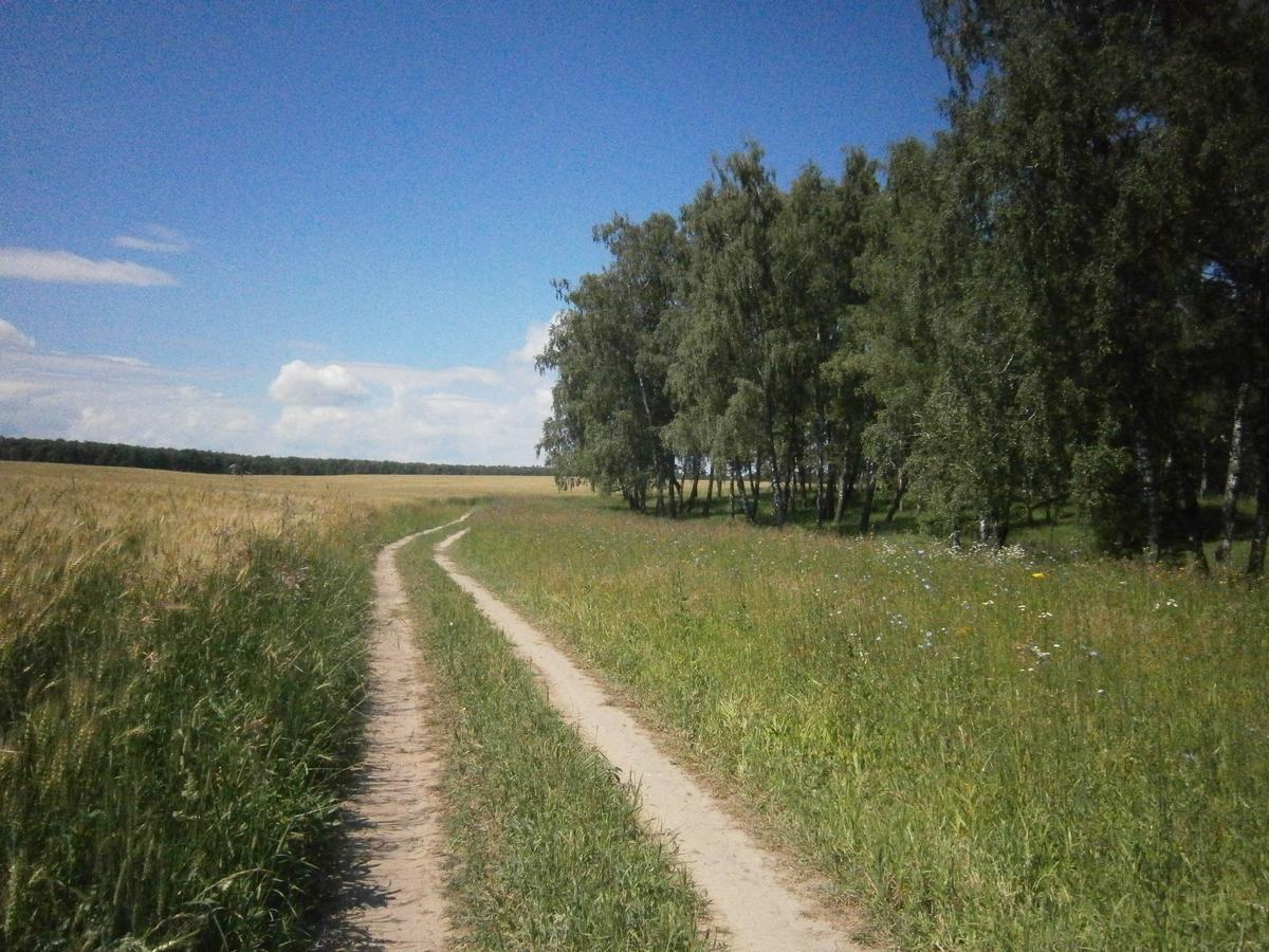 P4203301.JPG