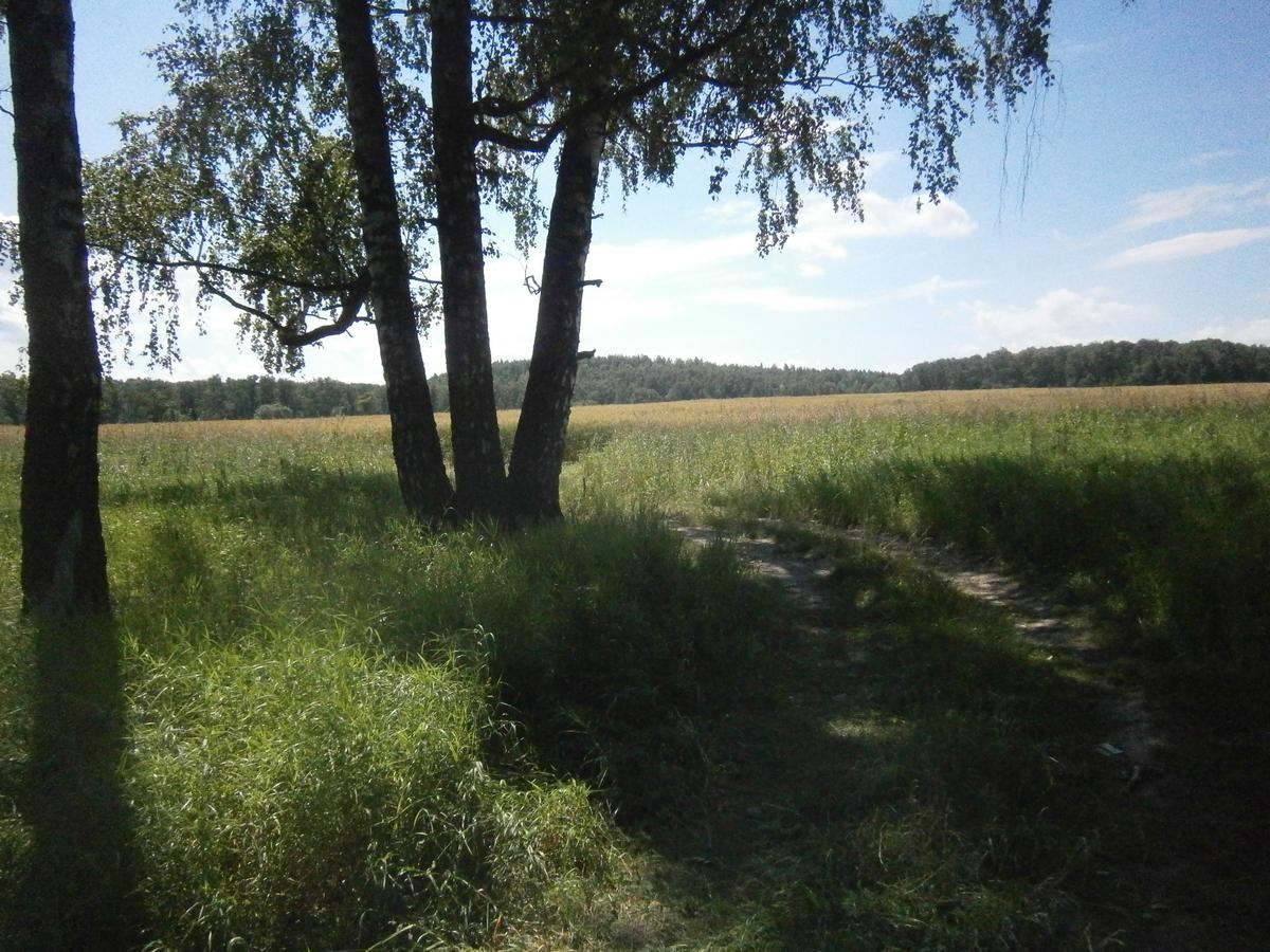P4203308.JPG