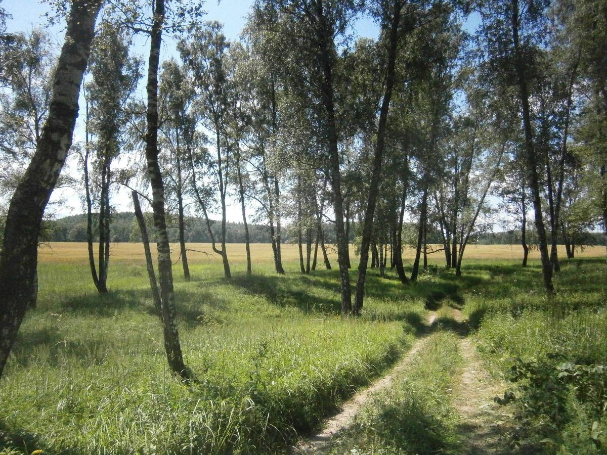 P4203311.JPG