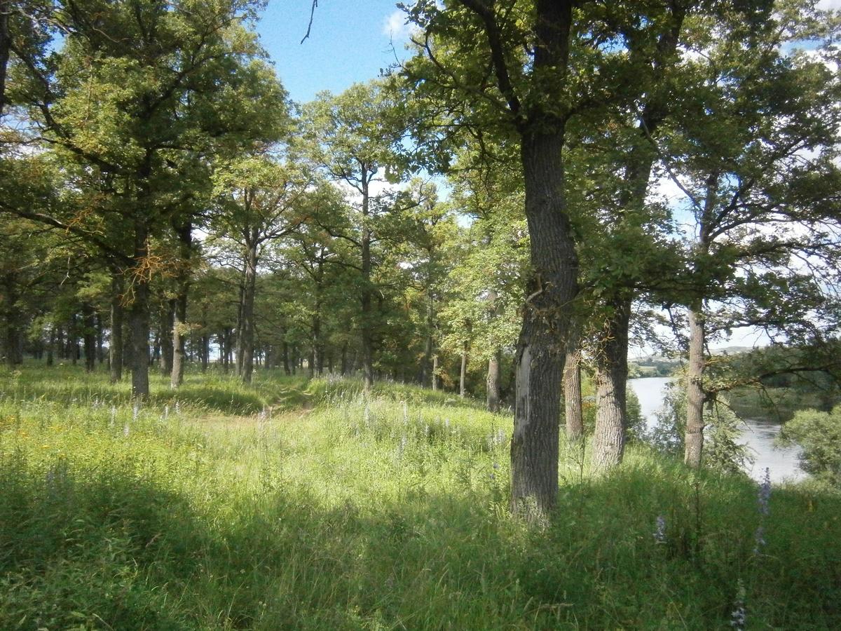 P4203336.JPG