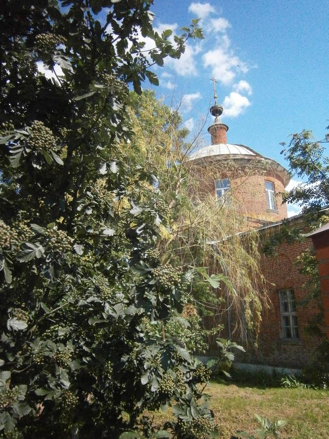 P4203341.JPG