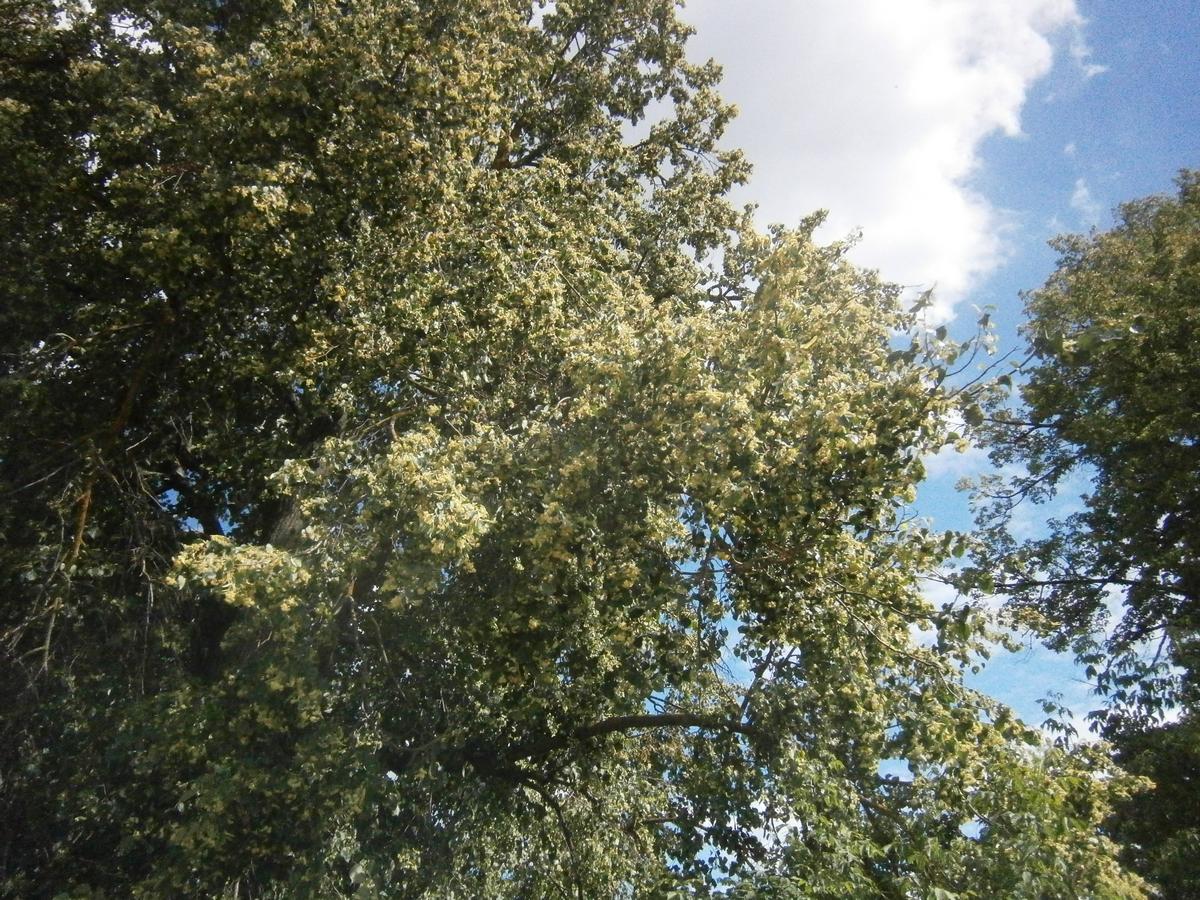 P4203358.JPG