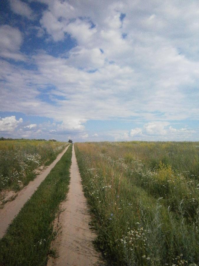 P4203381.JPG