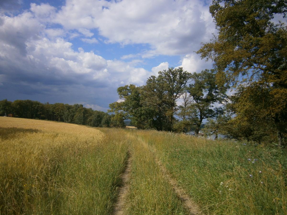 P4273428.JPG